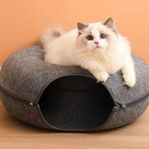 Cat Donut Tunnel